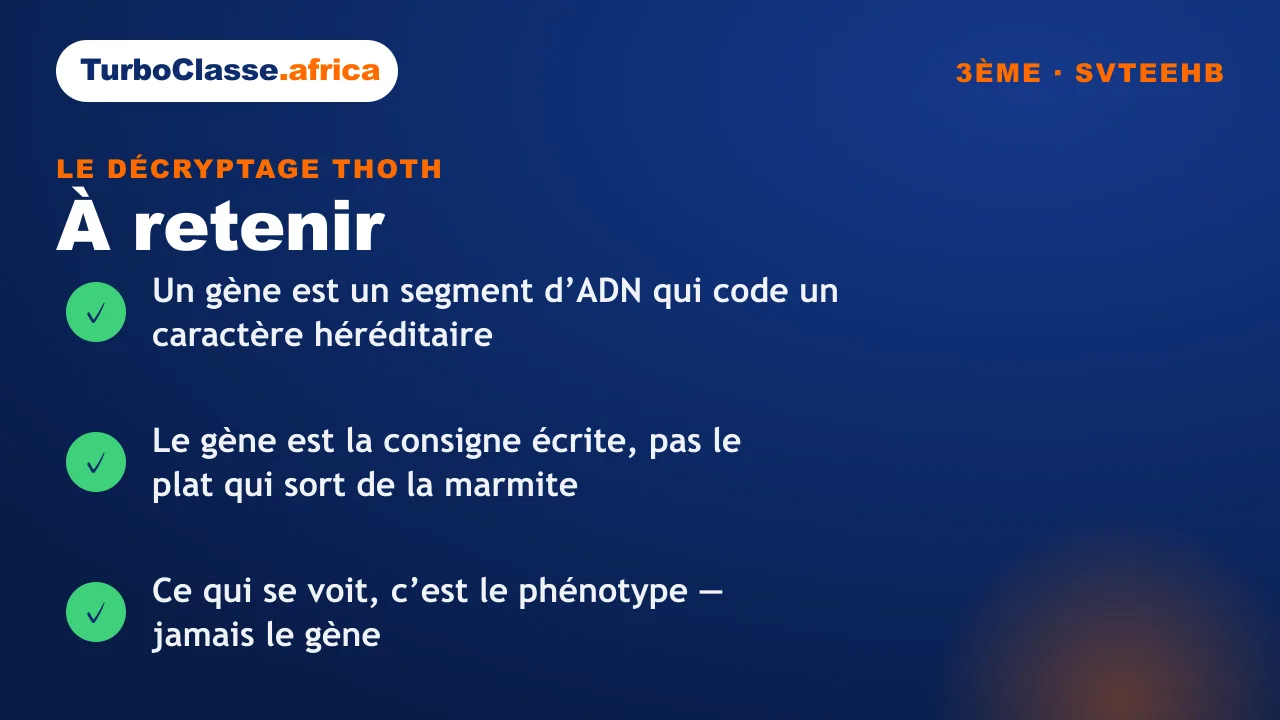 Carte « à retenir » : le gène comme segment d’ADN, l’image de la consigne écrite, et la différence avec le phénotype. Fond bleu nuit TurboClasse.