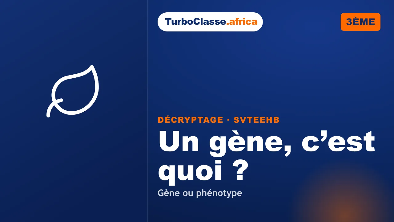 3ème (BEPC) — SVTEEHB : ce qu’est un gène, vraiment. Décryptage Thoth, fond bleu nuit.