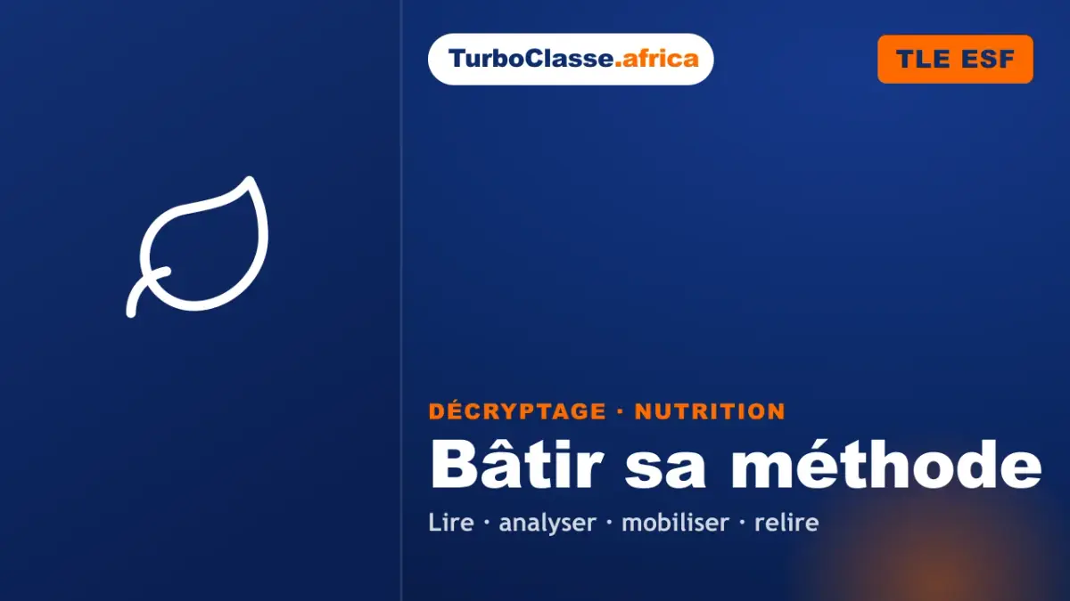Le Décryptage Thoth — Terminale ESF, Nutrition : bâtir sa méthode le jour de l'examen, sur fond bleu nuit TurboClasse. La carte affiche le titre du décryptage et sa matière. Elle sert de couverture à l'article et à la vidéo jumelle.