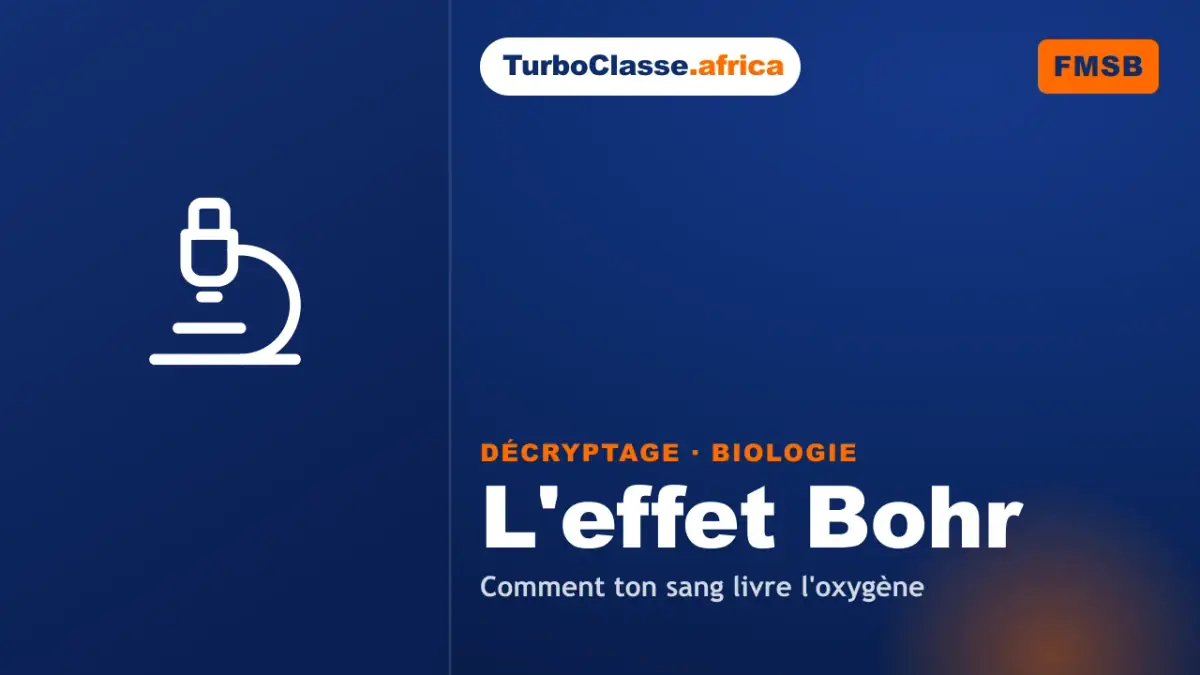 Le Décryptage Thoth — Concours Médecine (FMSB), Biologie : l'effet Bohr et le transport de l'oxygène, sur fond bleu nuit TurboClasse. La carte affiche le titre du décryptage et sa matière. Elle sert de couverture à l'article et à la vidéo jumelle.