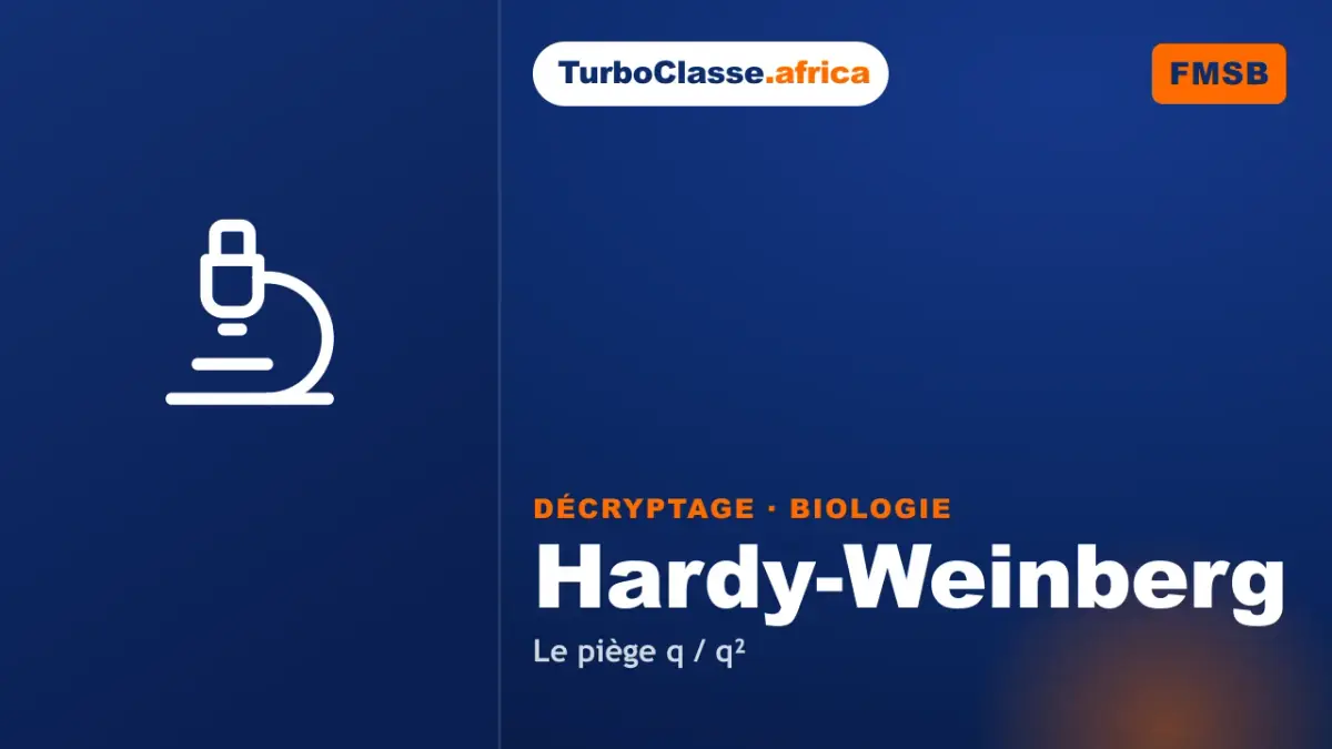 Le Décryptage Thoth — Concours FMSB, Biologie : la loi de Hardy-Weinberg et le piège q / q², sur fond bleu nuit TurboClasse. La carte affiche le titre du décryptage et sa matière. Elle sert de couverture à l'article et à la vidéo jumelle.