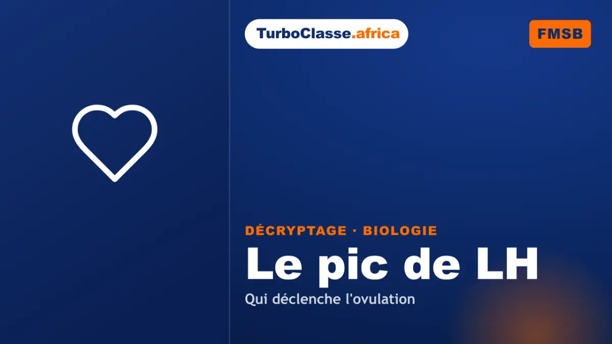 Le Décryptage Thoth — Concours FMSB, Biologie : la régulation du cycle hormonal et le pic de LH, sur fond bleu nuit TurboClasse. La carte affiche le titre du décryptage et sa matière. Elle sert de couverture à l'article et à la vidéo jumelle.