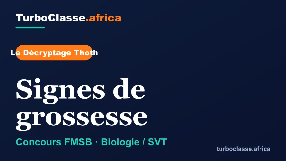 Le Décryptage Thoth — Concours FMSB, Biologie et SVT : Signes de grossesse, sur fond bleu nuit TurboClasse. La carte affiche le titre du décryptage et sa matière. Elle sert de couverture à l'article et à la vidéo jumelle.