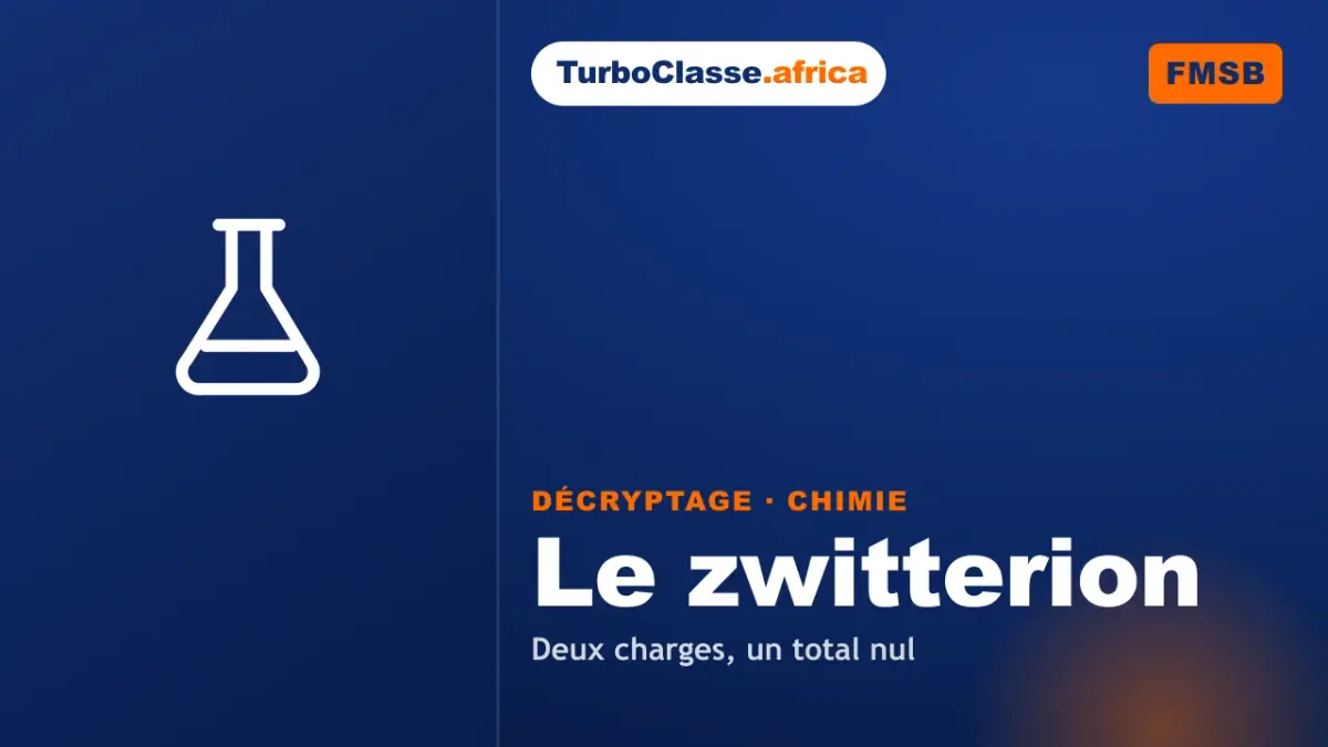 Le Décryptage Thoth — Concours FMSB, Chimie : le zwitterion des acides aminés, sur fond bleu nuit TurboClasse. La carte affiche le titre du décryptage et sa matière. Elle sert de couverture à l'article et à la vidéo jumelle.